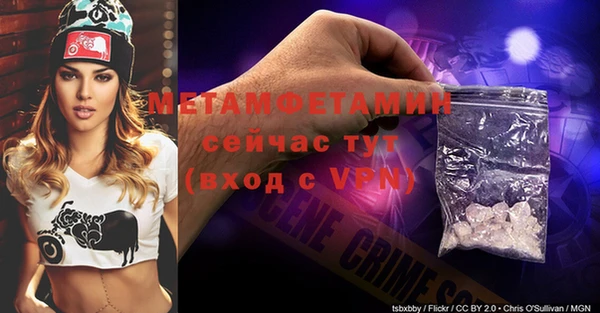 гидра Алексин