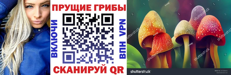 где найти наркотики  ОМГ ОМГ как зайти  Галлюциногенные грибы Psilocybine cubensis  Нововоронеж 